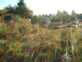 Nord/Ost 18.08.2004